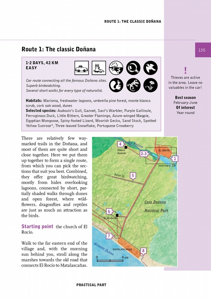 Crossbill Guide Western Andalucia - Huelva to Málaga - Spain
