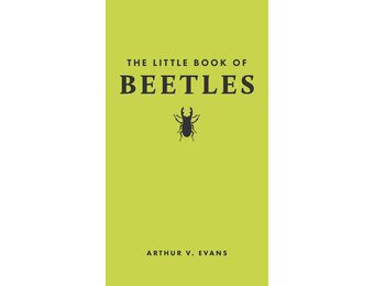 The Little Book of Beetles
