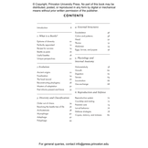 The Little Book of Beetles