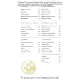 The Little Book of Beetles