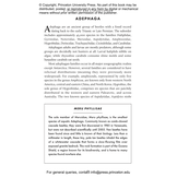 The Little Book of Beetles