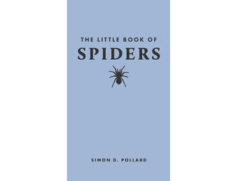 The Little Book of Spiders