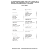 The Little Book of Spiders