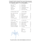 The Little Book of Spiders