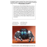 The Little Book of Spiders