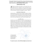 The Little Book of Spiders