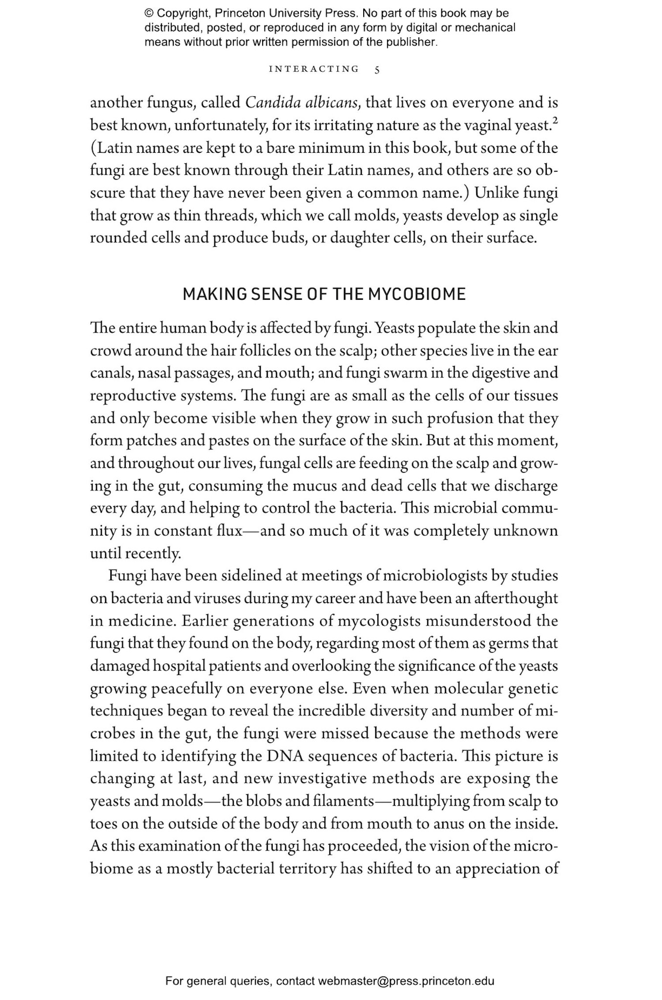 Molds, Mushrooms, and Medicines: Our Lifelong Relationship with Fungi