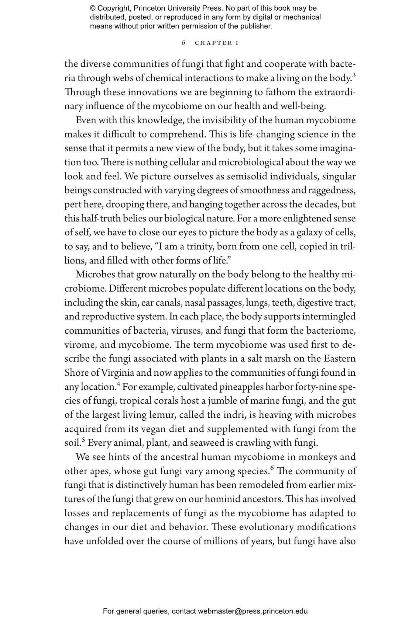 Molds, Mushrooms, and Medicines: Our Lifelong Relationship with Fungi