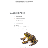Frogs of the World: A Guide to Every Family
