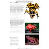 Frogs of the World: A Guide to Every Family