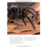 Frogs of the World: A Guide to Every Family