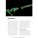 Frogs of the World: A Guide to Every Family