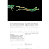 Frogs of the World: A Guide to Every Family
