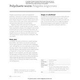 Plankton: A Worldwide Guide