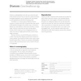 Plankton: A Worldwide Guide