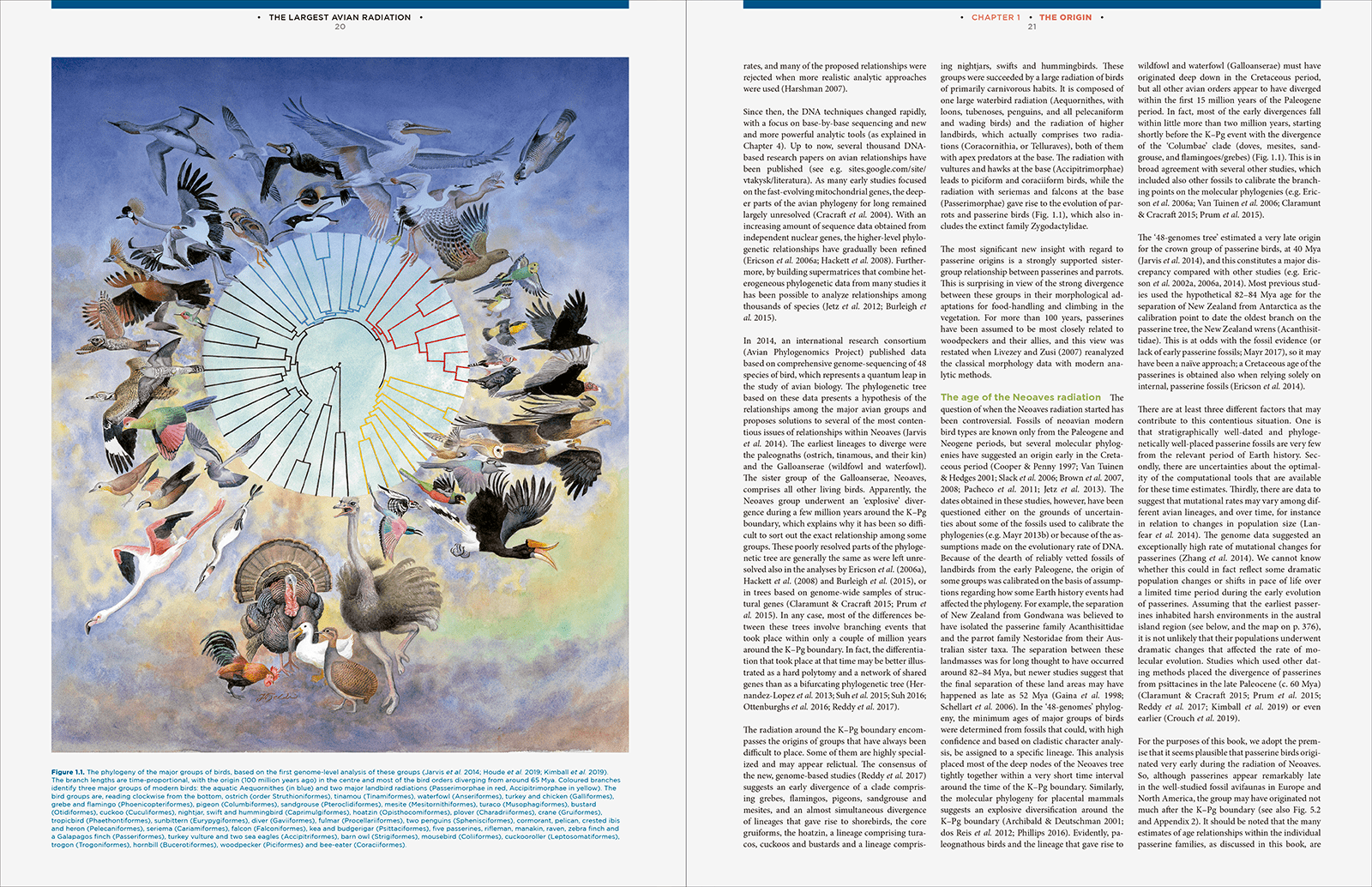The Largest Avian Radiation - The Evolution of Perching Birds, or the Order Passeriformes