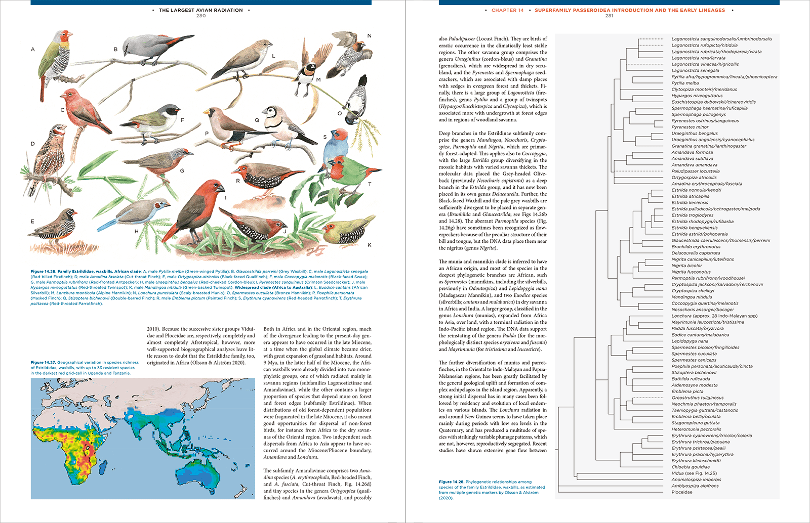 The Largest Avian Radiation - The Evolution of Perching Birds, or the Order Passeriformes