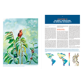 The Largest Avian Radiation - The Evolution of Perching Birds, or the Order Passeriformes