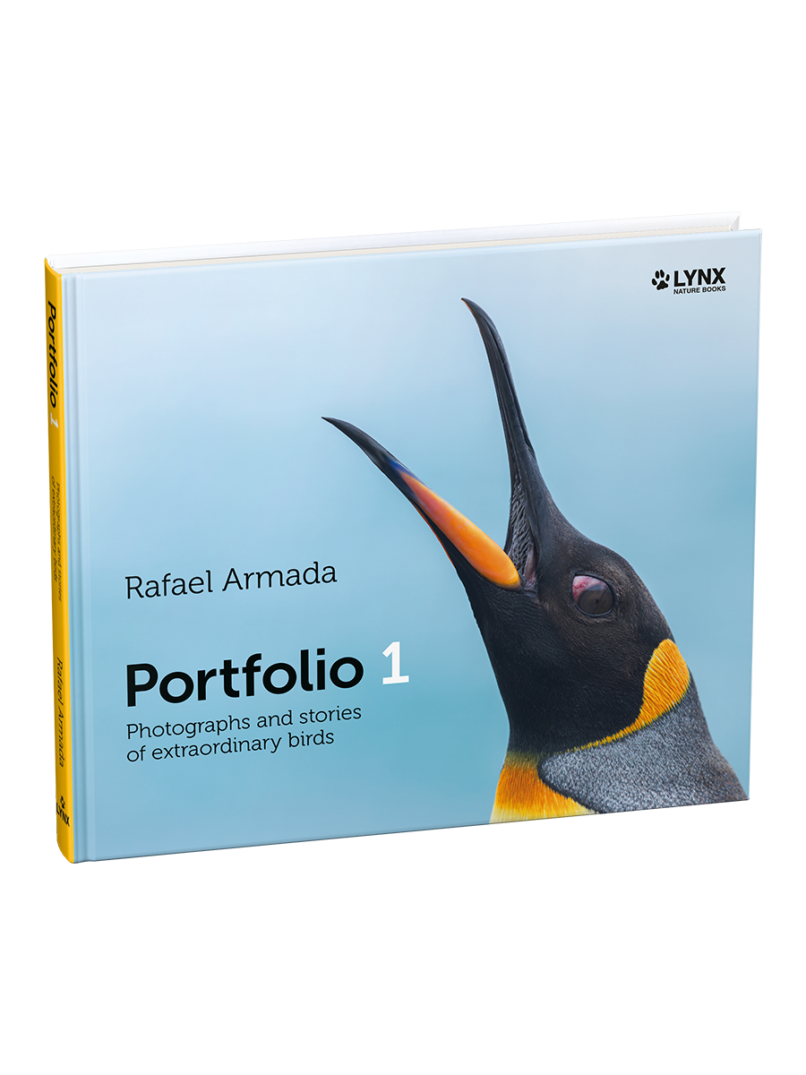 Portfolio 1 – Photographs and stories of extraordinary birds