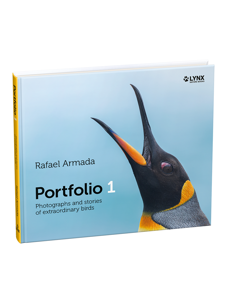 Portfolio 1 – Photographs and stories of extraordinary birds