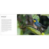 Portfolio 1 – Photographs and stories of extraordinary birds