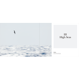 Portfolio 1 – Photographs and stories of extraordinary birds