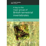 A Key to the Major Groups of British Terrestrial Invertebrates