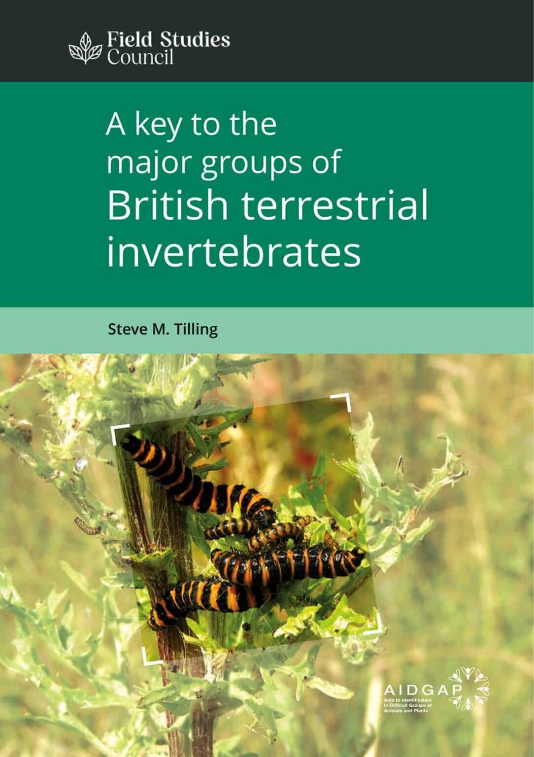 A Key to the Major Groups of British Terrestrial Invertebrates