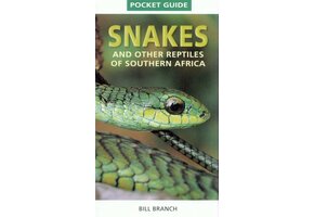Snakes and other Reptiles of Southern Africa