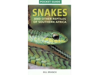 Snakes and other Reptiles of Southern Africa