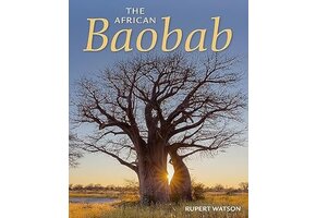 The African Baobab