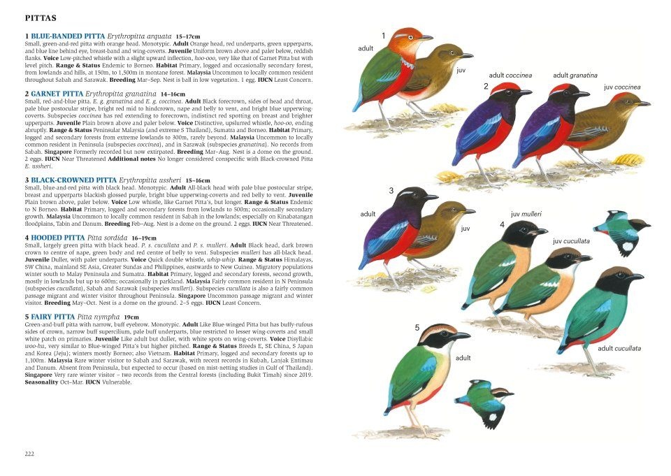 A Field Guide to the Birds of Malaysia including Sabah and Sarawak