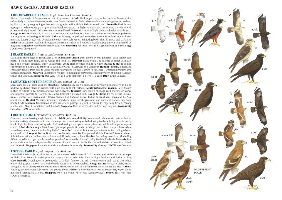 A Field Guide to the Birds of Malaysia including Sabah and Sarawak