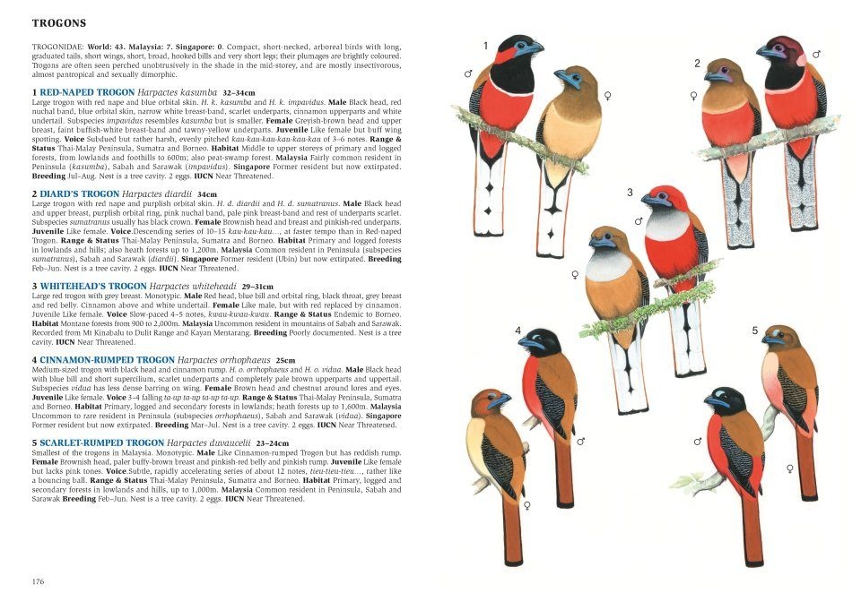 A Field Guide to the Birds of Malaysia including Sabah and Sarawak