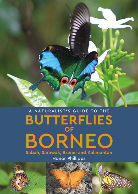 A Naturalist’s Guide to the Butterflies of Borneo