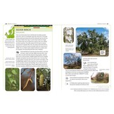 An Identification Guide to Trees of Britain & North-West Europe