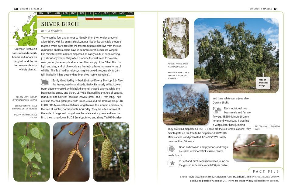 An Identification Guide to Trees of Britain & North-West Europe