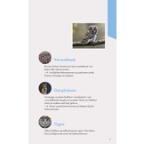 ANWB Basis Natuurgids - Uilen en Roofvogels - 52 soorten eenvoudig herkennen