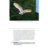 ANWB Basis Natuurgids - Uilen en Roofvogels - 52 soorten eenvoudig herkennen