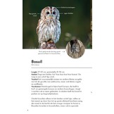 ANWB Basis Natuurgids - Uilen en Roofvogels - 52 soorten eenvoudig herkennen