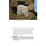 ANWB Basis Natuurgids - Uilen en Roofvogels - 52 soorten eenvoudig herkennen