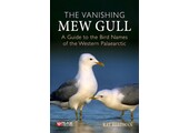 The Vanishing Mew Gull