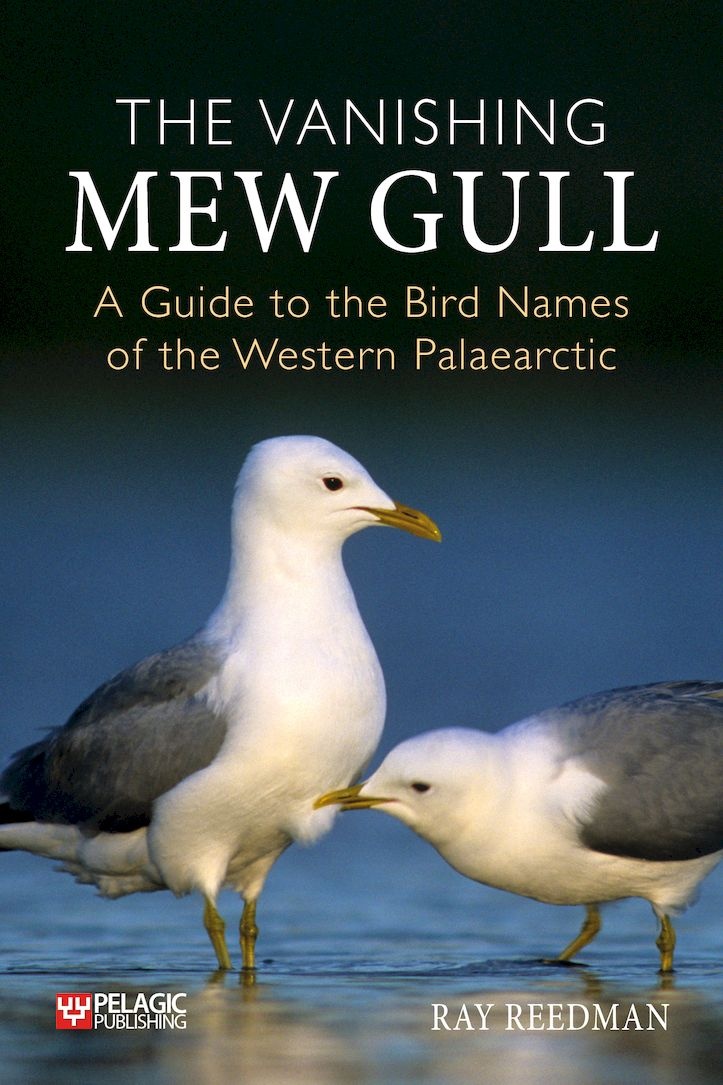 The Vanishing Mew Gull - A Guide to the Bird Names of the Western Palaearctic