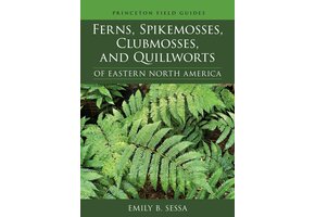Ferns, Spikemosses, Clubmosses and Quillworts of Eastern North America