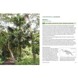 The Palms of New Guinea