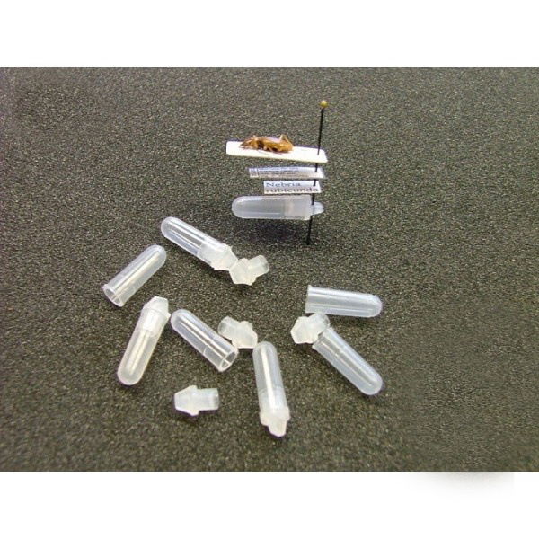 Genitalien-Mikrofläschchen pro 100 Stück