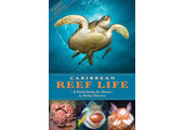 Caribbean Reef Life