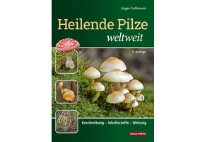 Heilende Pilze weltweit