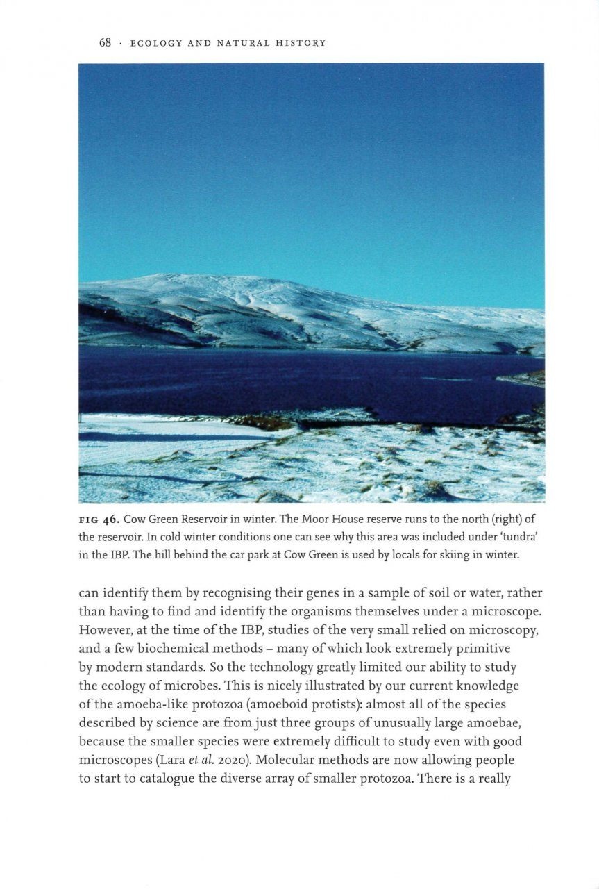 Beschadigd exemplaar - Ecology and Natural History