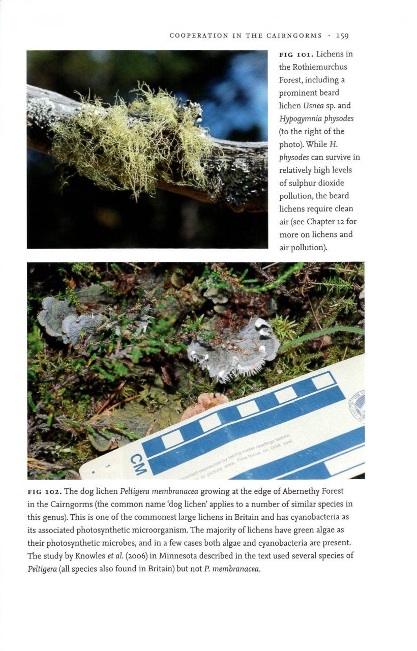 Damaged copy - Ecology and Natural History